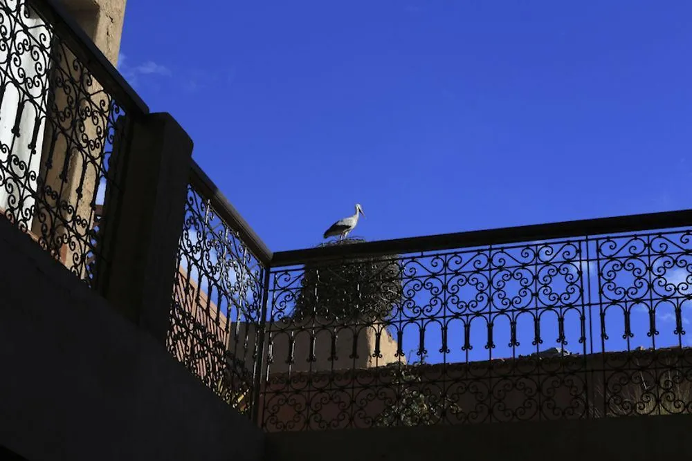 Riad Aladdin Марракеш Марокко