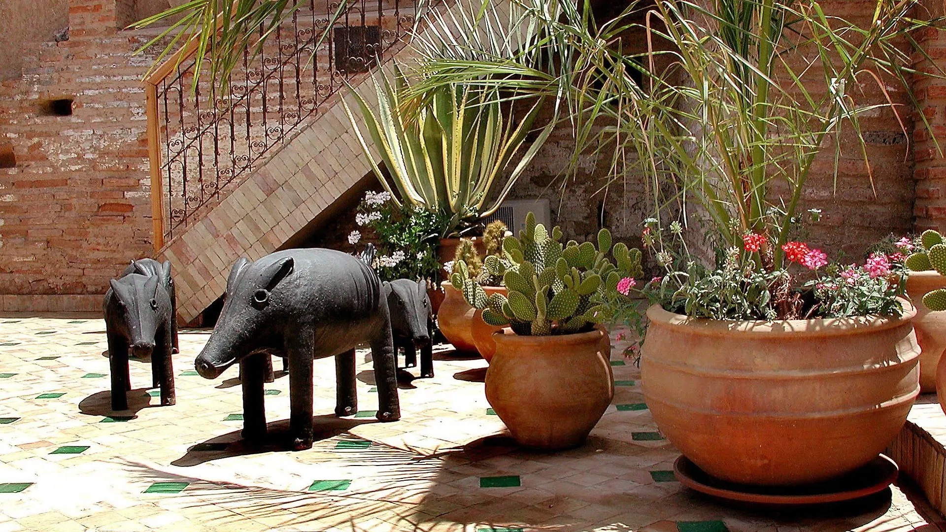Riad Aladdin Марракеш